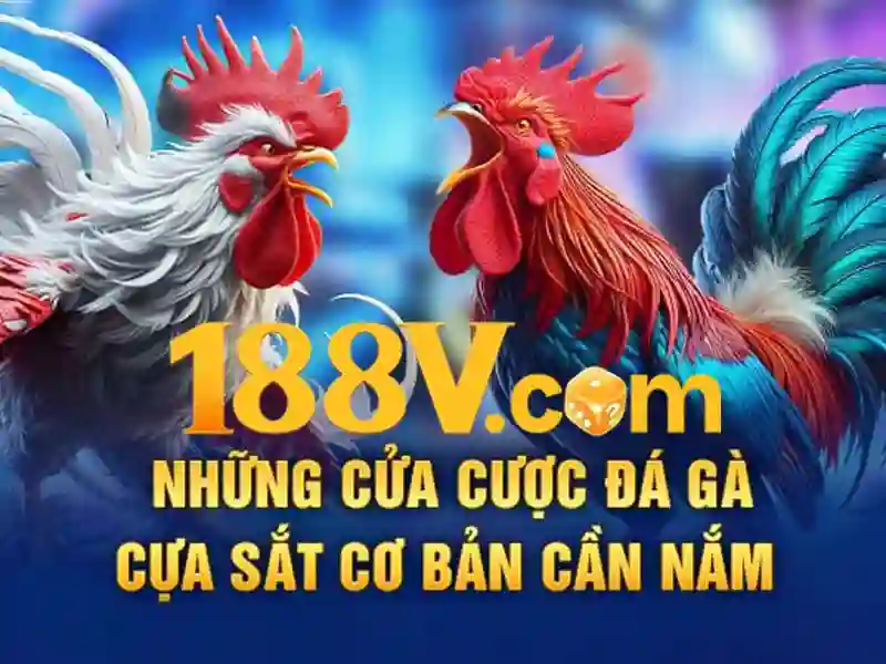 Cac ung dung thuc te cua 188v no hũ