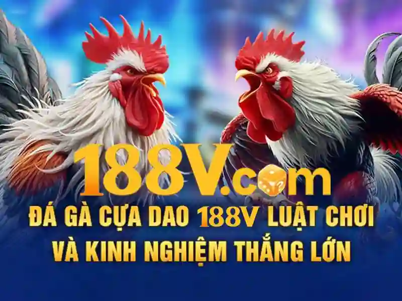 Tổng quan chủ đề và giá trị cốt lõi