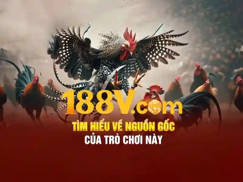 Nguồn gốc và cách dùng
