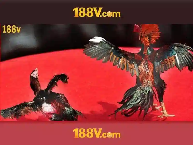 Tương lai của 188v