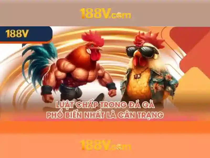 An toàn và xử lý rủi ro