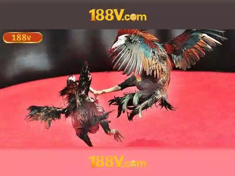 Nguồn gốc và ý nghĩa
