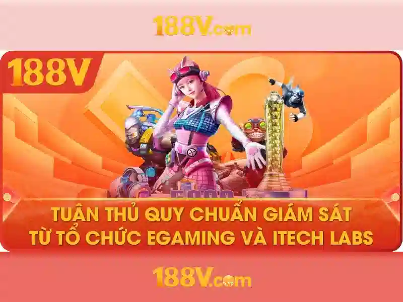 Phát triển và tầm nhìn tương lai
