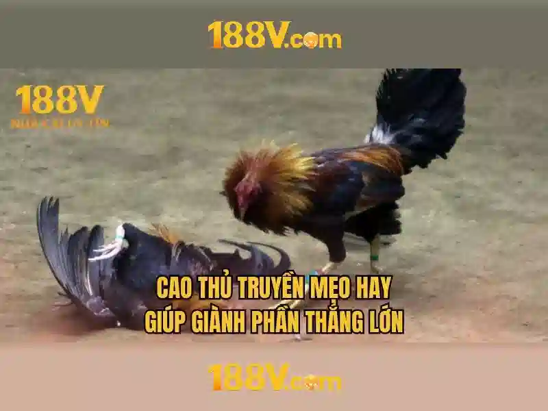 Khám phá 188v: một khái niệm trong thế giới số