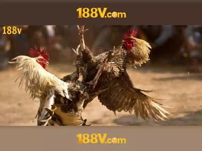 Sản phẩm và dịch vụ cốt lõi: ứng dụng của 188v. vip