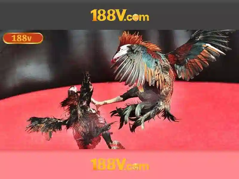 Khám phá 188v: một hành trình giữa công nghệ và văn hóa