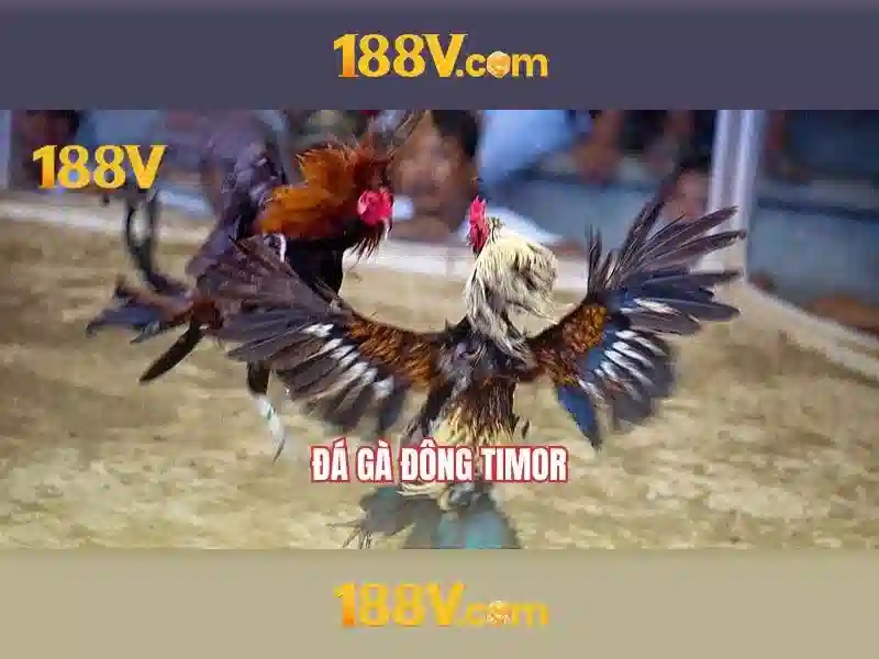 188v và thế giới số