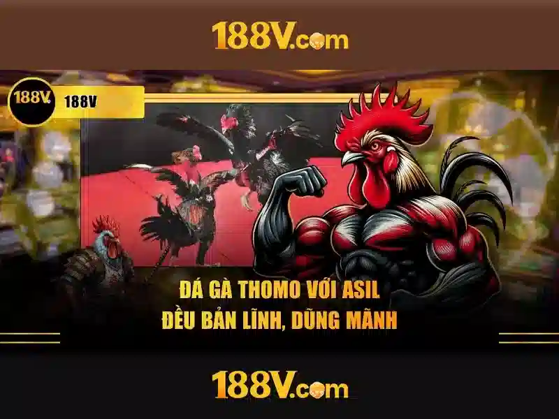 188v: một hành trình giữa hai thế giới