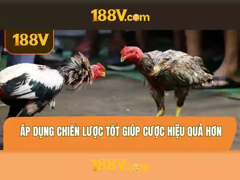 Khám phá 188v: một hành trình qua công nghệ và sáng tạo