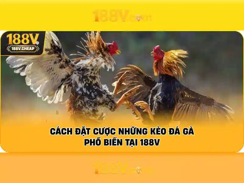 Nguồn gốc của 188v Nguồn gốc của 188v