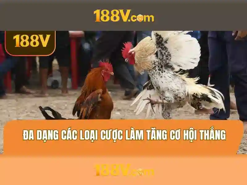 Sự giao thoa giữa công nghệ và sáng tạo