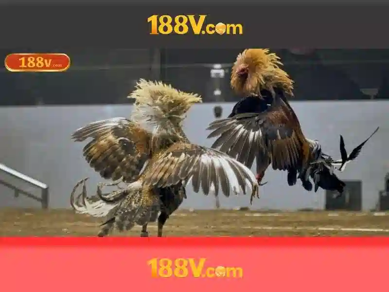 Lịch sử và nguồn gốc của 188v