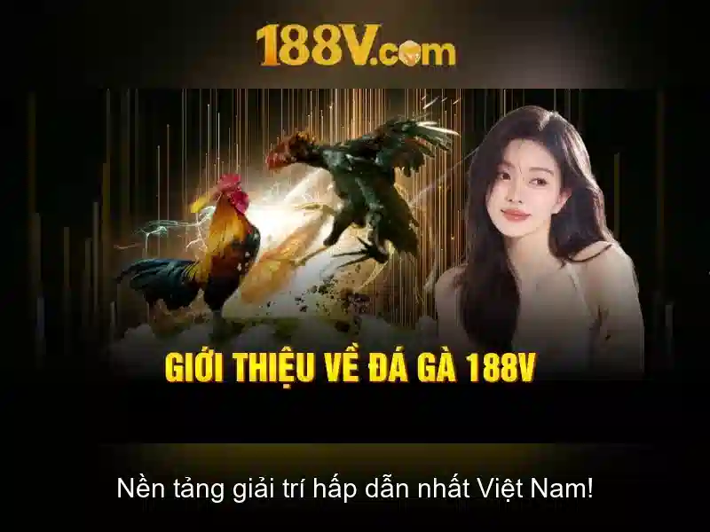 188v: một hành trình qua 188 biến thể thị giác