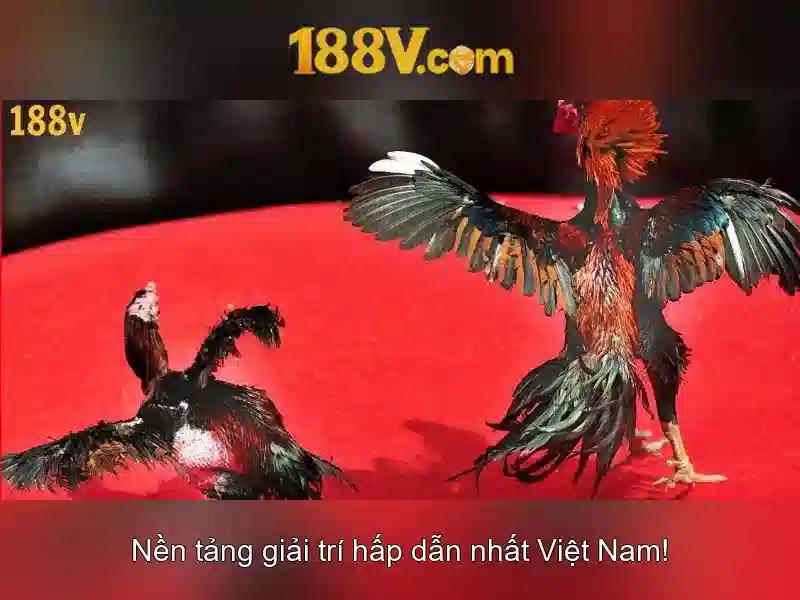 Mẹo chơi bắn cá 3 cây dễ ăn tiền nhà cái