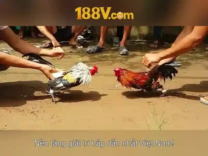 188v: một thế giới số và trải nghiệm tương tác