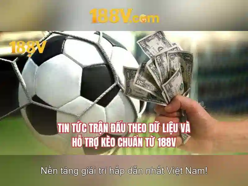 Kết luận và suy tư
