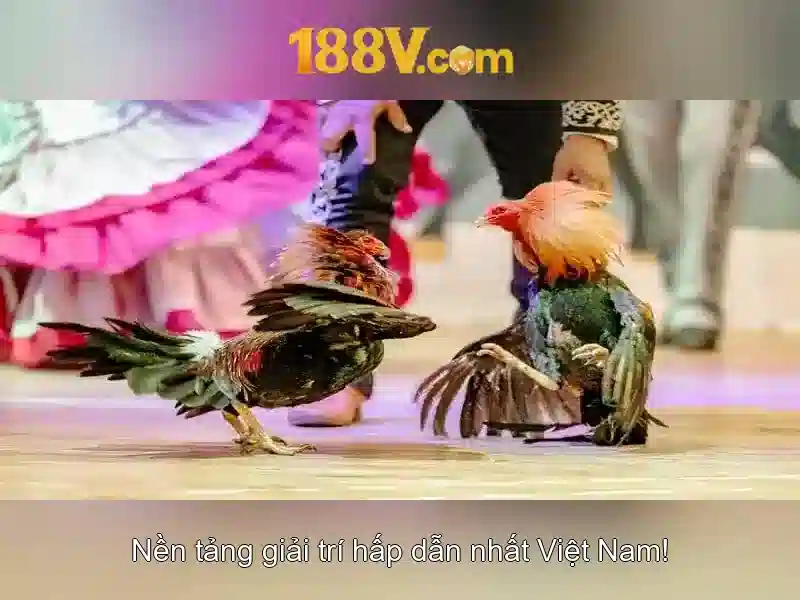 Khám phá 188V: một khái niệm, một giới hạn và tiềm năng công nghệ