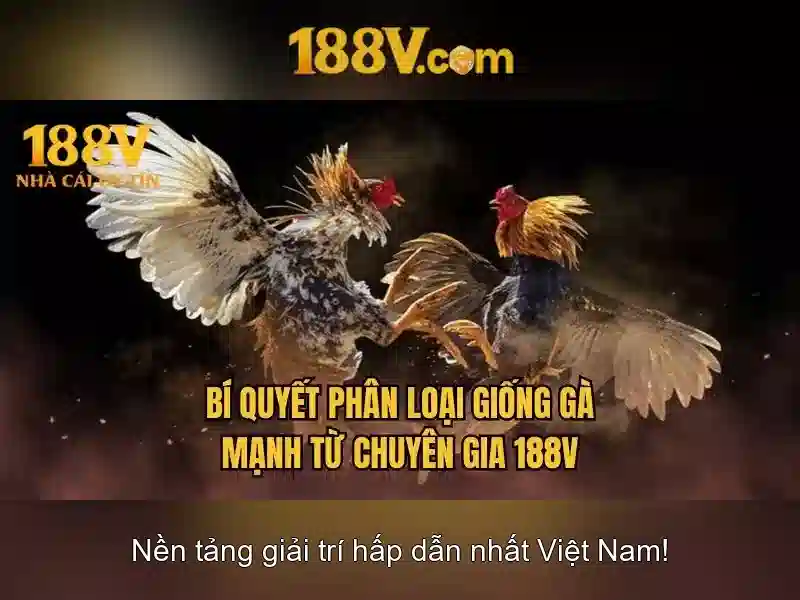 Khám phá 188v: một hành trình công nghệ và sáng tạo