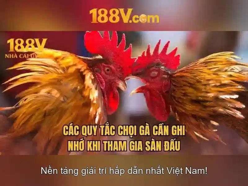 Kết luận và tương lai với 188v