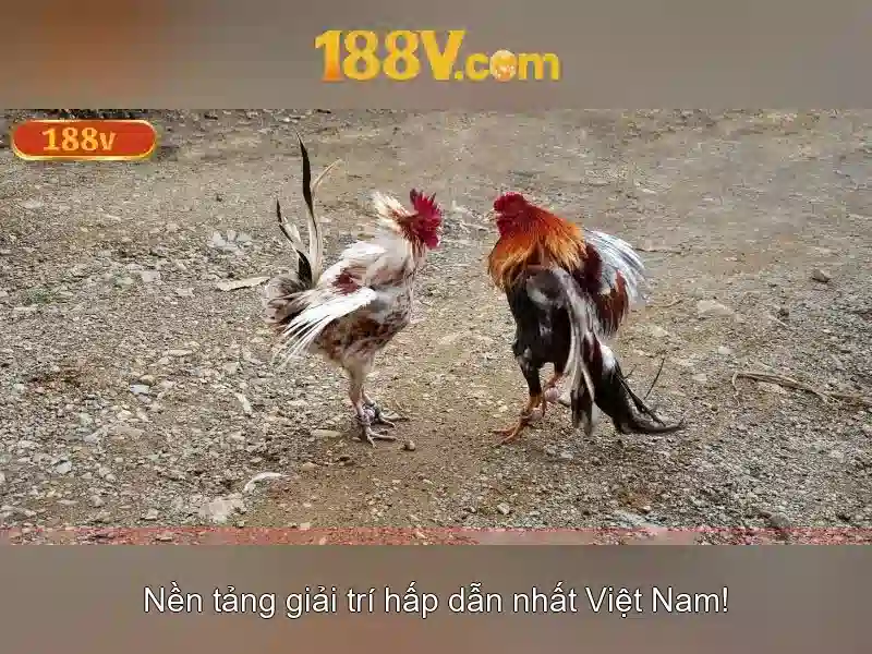 Khái niệm 188v\n