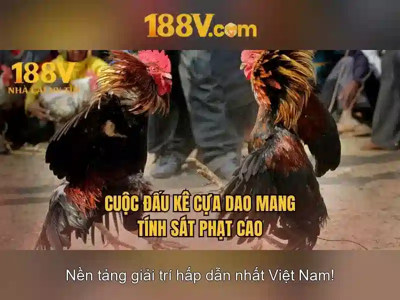 Kết nối 188v với tương lai