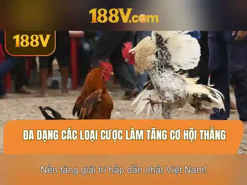 188V là gì và vì sao nó quan trọng