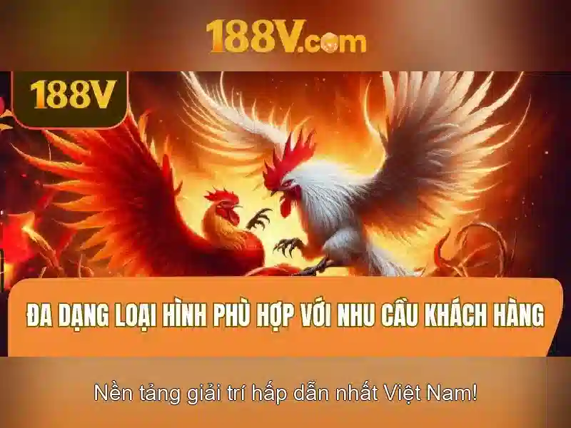 188v: Khái niệm sáng tạo trong thời đại số
