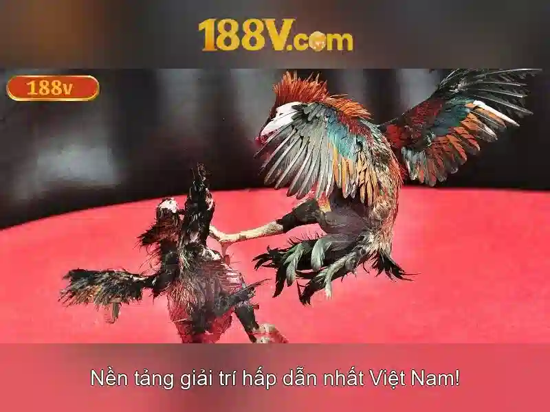 Mẹo chơi bắn cá 3 cây dễ ăn tiền nhà cái