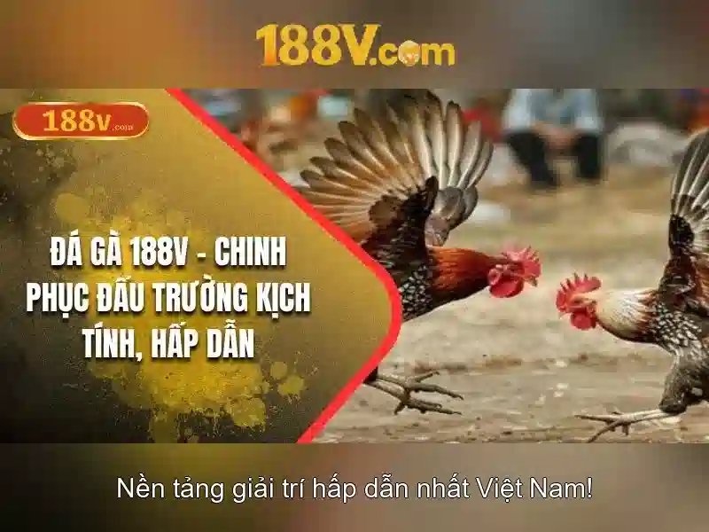 188v: Ý nghĩa và ứng dụng của một số trong thế giới số