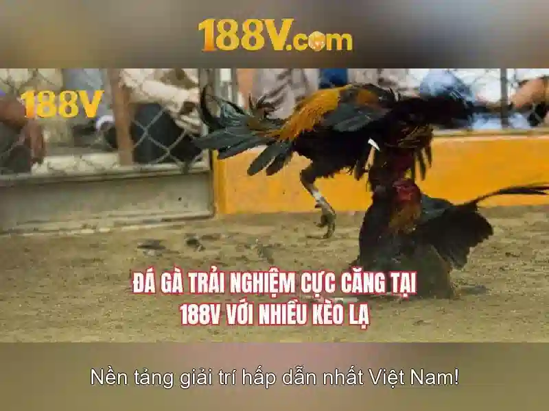 Khía cạnh thực tế và ví dụ áp dụng\n