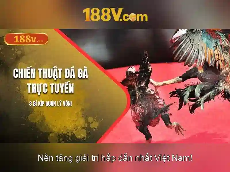 Mẹo chơi bắn cá 3 cây dễ ăn tiền nhà cái