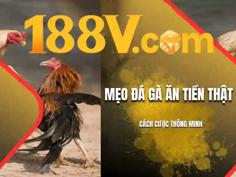 Nguồn gốc và ý nghĩa\n\n