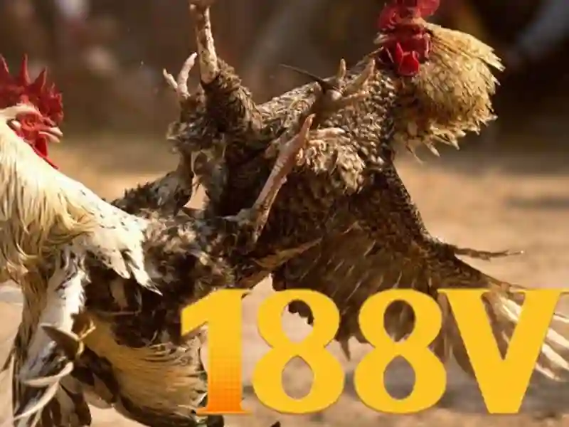 188V: Khái niệm, ứng dụng và kiến trúc